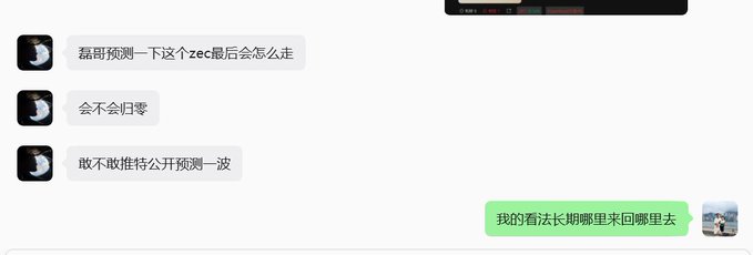 A Chinese chat conversation where users ask for predictions about zec (Zcash), with one user responding they think the long-term Na Ying will return.