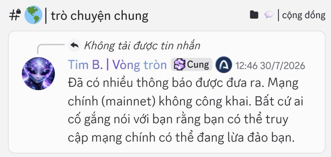 A Vietnamese-language chat screenshot showing a pinned message from user "Tìm B. | Vòng tròn" dated 30/7/2026 warning that the mainnet is not public and anyone offering mainnet access may be scamming you.