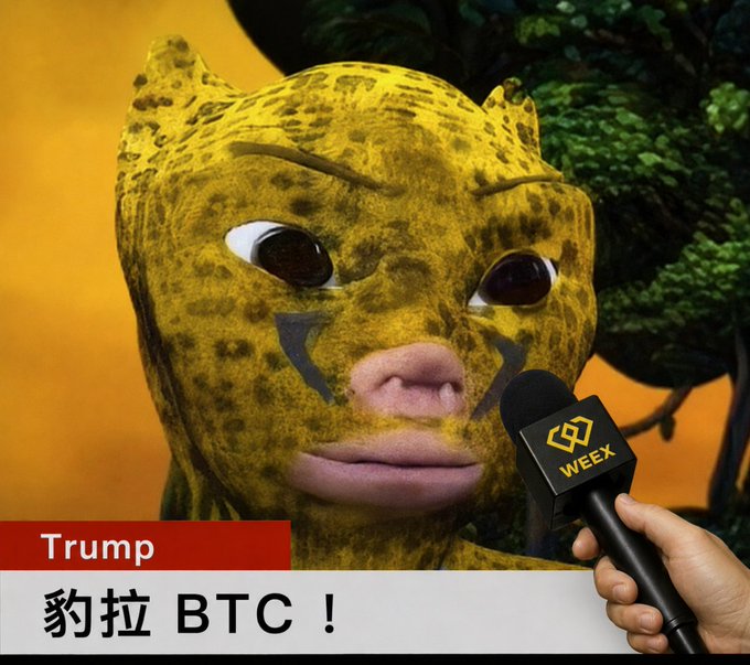 A meme image showing a yellow jaguar/leopard character being interviewed with a 'WEEX' microphone, captioned 'Trump' and '豹拉 BTC!' (Jagua pulls BTC).
