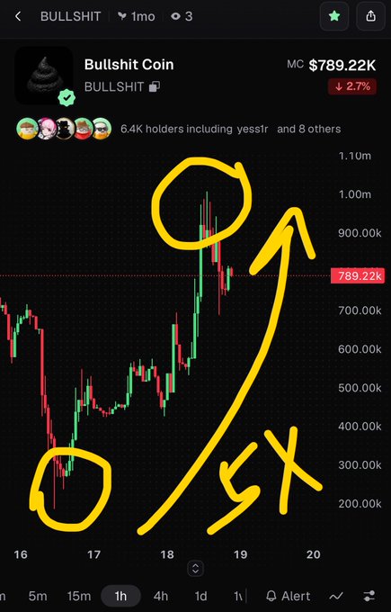 A cryptocurrency price chart for 'Bullshit Coin' showing a market cap of MC $789.22K, with yellow circles and arrows highlighting a significant price increase annotated with '5X'.