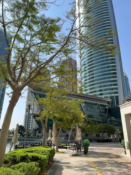 An outdoor plaza with trees and outdoor seating, featuring a tall modern glass skyscraper in the background.