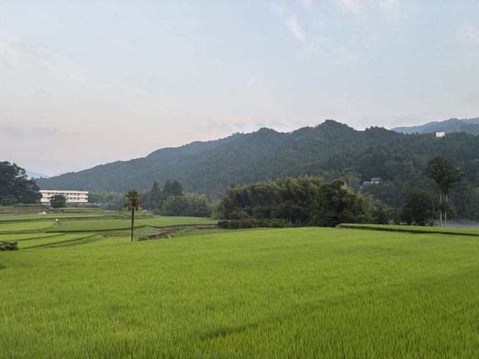 A scenic landscape view features lush green rice paddies in the foreground with forested mountains and a cloudy sky in the background.