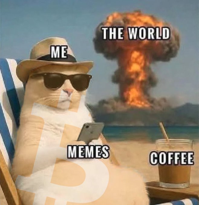 A meme showing a relaxed cat in sunglasses on a beach labeled 'ME' with 'MEMES' and 'COFFEE', while a mushroom cloud explosion in the background is labeled 'THE WORLD'.