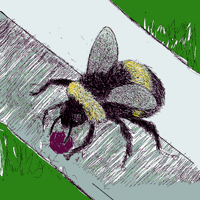 A colorful illustrated drawing of a bumblebee with yellow and black markings, perched on a gray surface with green grass in the background.