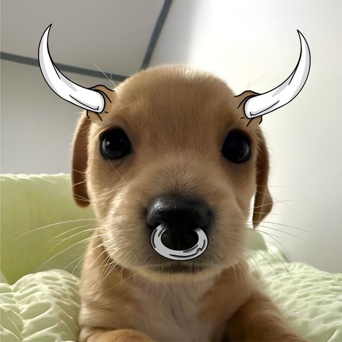 An adorable tan puppy with digitally added white bull horns and a nose ring stares directly at the camera, fitting the post's "legendary return" meme theme tied to the $Billy, $Jotchua, and old coin revival trends.