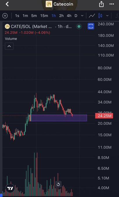 A TradingView 1-hour chart of CATE/SOL on the market pair shows the meme coin CATE/SOL hovering at 24.25M, down 4.06% (1.020M), with the price testing a highlighted support zone around 24.25M — setting up the potential bounce the post is calling for.