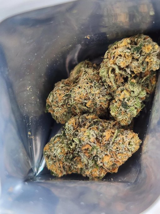 Several cannabis buds inside a dark, shiny bag.