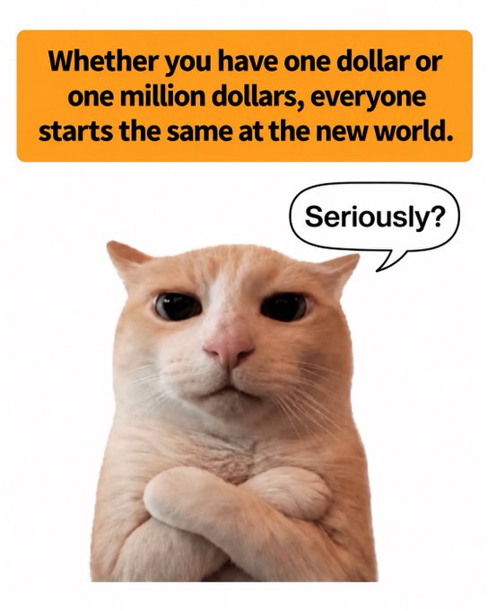 A skeptical-looking orange cat meme with crossed paws saying "Seriously?" in response to a caption claiming "Whether you have one dollar or one million dollars, everyone starts the same at the new world."
