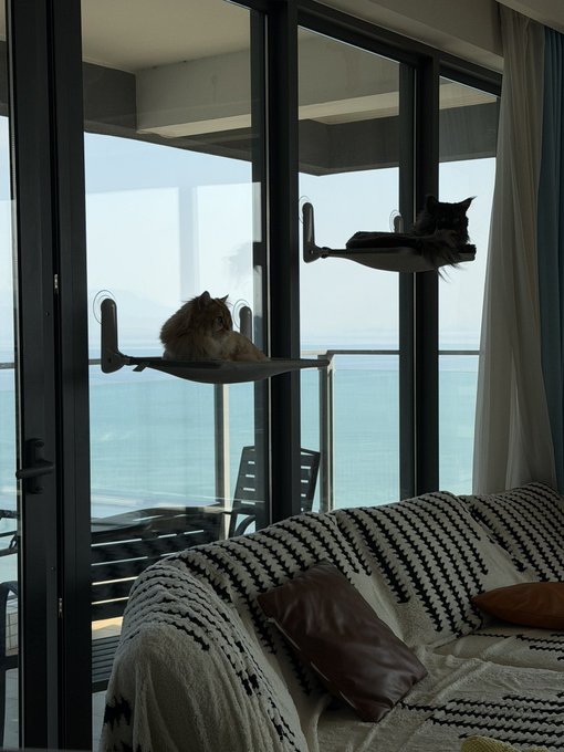 Two cats lounge on window-mounted perches with a stunning ocean view, while a third cat rests on a striped sofa below. The "Tut-tut-tut" caption playfully scolds the mischievous cats perched comfortably by the window, as if they're being caught in the act of causing trouble.