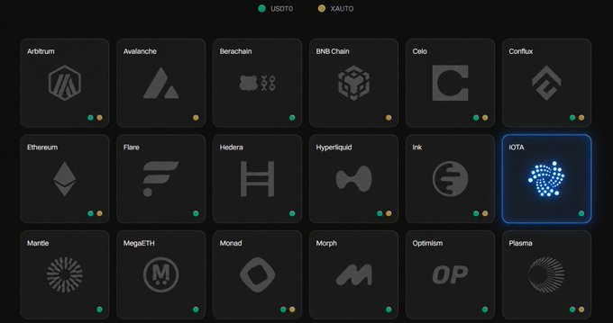 A grid interface displaying various cryptocurrency network logos with USDT and XAUTO indicators, with IOTA highlighted in blue.