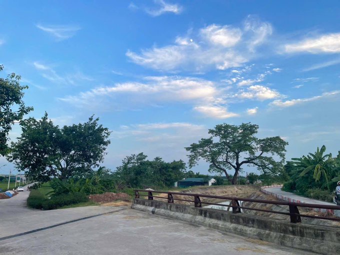 A scenic outdoor view of a road with a concrete bridge railing, surrounded by lush green trees under a blue sky with scattered white clouds.