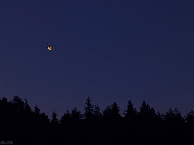 A crescent moon glows orange in a dark blue twilight sky above a silhouette of a pine tree forest.