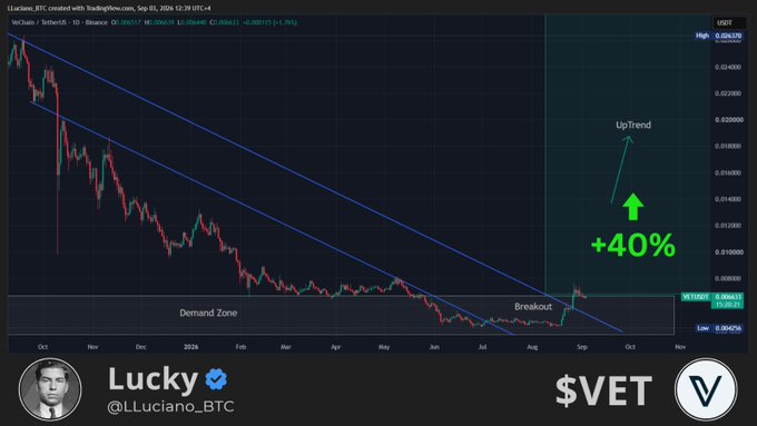 A VeChain (VET) TradingView chart by Luciano_BTC displays a daily timeframe with a descending channel breakout from a demand zone, projecting a potential uptrend toward $0.00035 (+40%) after holding support around $0.00025. The chart visually supports the caption's bullish thesis by showing the structural breakout that suggests a larger move ahead.