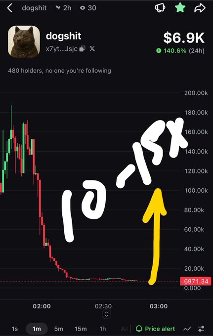 A crypto price chart for a token called 'dogshit' showing a massive pump of 140.6% (24h) to $6.9K, with '10-15X' and an upward arrow drawn on it.