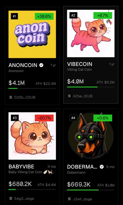 Cryptocurrency rankings dashboard showing 4 meme coins: #1 ANONCOIN ($4.1M, +36.6%), #2 VIBECOIN/Vibing Cat Coin ($4.0M, +8.7%), #3 BABYVIBE/Baby Vibing Cat Coin ($680.2K, -20.7%), and #4 DOBERMANN ($669.3K, +0.6%), all on doge ecosystem with respective contract addresses.
