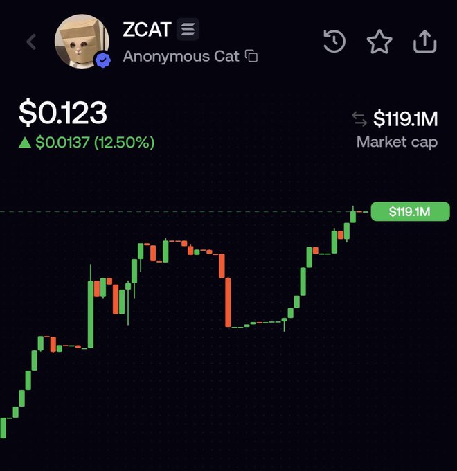 A cryptocurrency tracking app displays the ZCAT token (Anonymous Cat) priced at $0.123, up 12.50% ($0.0137), with a market cap of $119.1M and a candlestick price chart showing an overall upward trend.