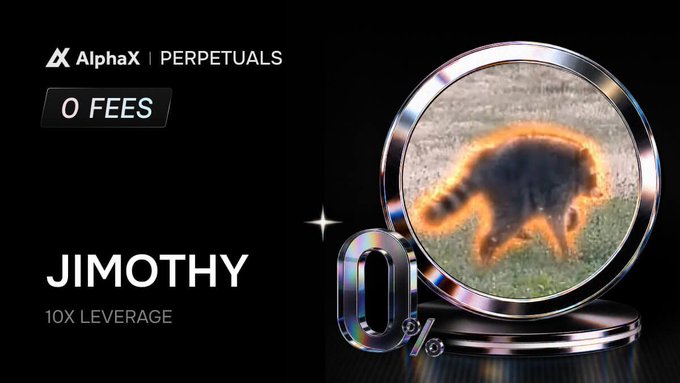 An AlphaX Perpetuals advertisement featuring "0 FEES" and "JIMOTHY" with 10X leverage, showing a raccoon inside a magnifying glass-like coin.
