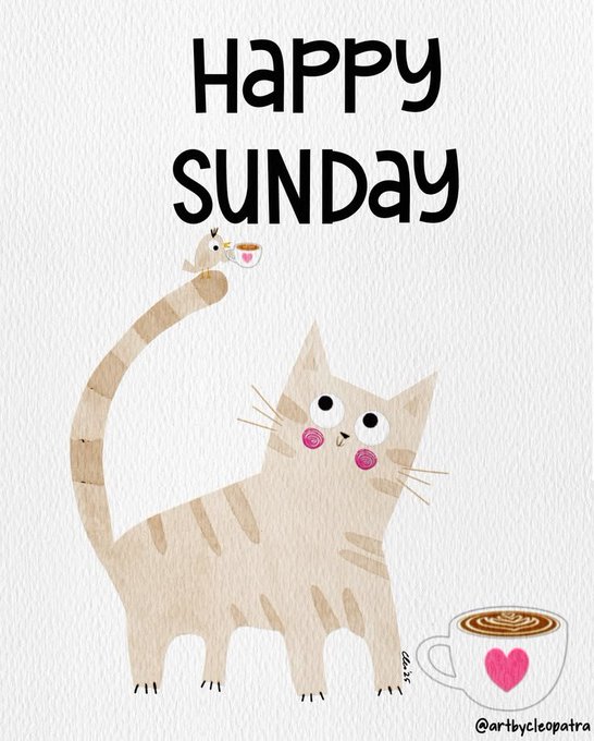 A cheerful illustration shows a cute beige cat with rosy cheeks holding a small teacup in its tail, standing next to a coffee cup with a pink heart design, beneath bold "Happy Sunday" text—perfectly complementing the warm, motivational morning greeting about embracing new chances and a beautiful day ahead.