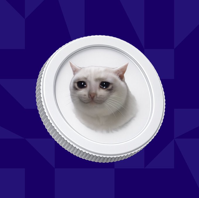 A white cash cat ("$CASHCAT") is depicted inside a metallic token or coin, symbolizing the memecoin's branding. The image visually represents the post's claim that Robinhood-backed memecoins like $CASHCAT are poised for massive growth, drawing parallels to past crypto success stories on other blockchains.