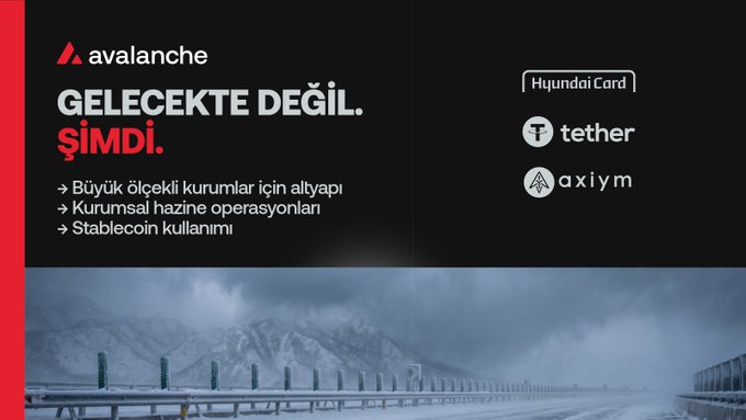 An Avalanche promotional banner in Turkish reading 'GELECEKTE DEĞİL. ŞİMDİ.' featuring partners Hyundai Card, Tether, and Axiym, with bullet points about infrastructure for large institutions, treasury operations, and stablecoin use.