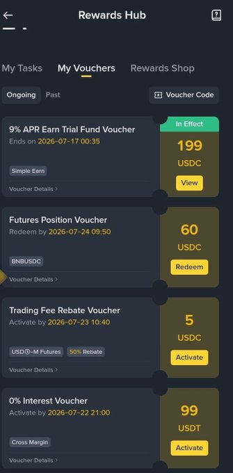 A screenshot of Binance's "Rewards Hub" showing the "My Vouchers" tab with multiple active rewards: a 199 USDC "9% APR Earn Trial Fund Voucher," a 60 USDC "Futures Position Voucher," a 5 USDC "Trading Fee Rebate Voucher," and a 99 USDT "0% Interest Voucher." The image visually supports the post's message of appreciation to Binance by showcasing the platform's thoughtful vouchers and rewards received during their 9-year anniversary celebration.