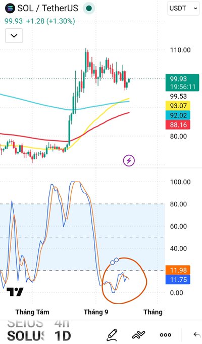 A TradingView chart of SOL/TetherUS showing a current price of 99.93 (+1.28%), with the indicator panel below showing a potential bullish divergence circled in orange at the September timeframe.