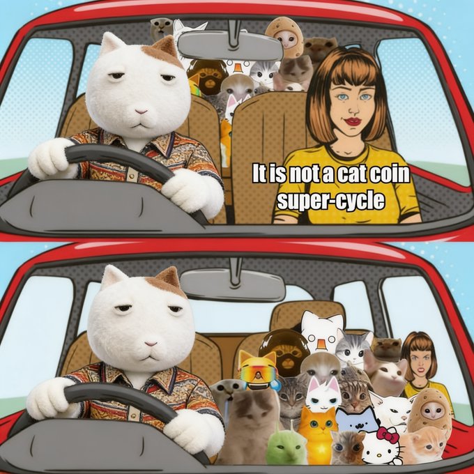 A two-panel meme featuring a cat driving a car with a woman in the passenger seat; the top panel says 'It is not a cat coin super-cycle' with a few cats in the back, while the bottom panel shows the back seat completely filled with various cat memecoins.