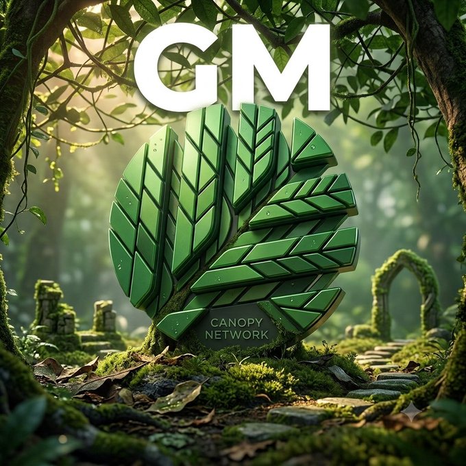 A digital artwork showing a stylized green leaf logo with 'GM' text above and 'CANOPY NETWORK' below, set in a mystical forest environment with mossy stones.