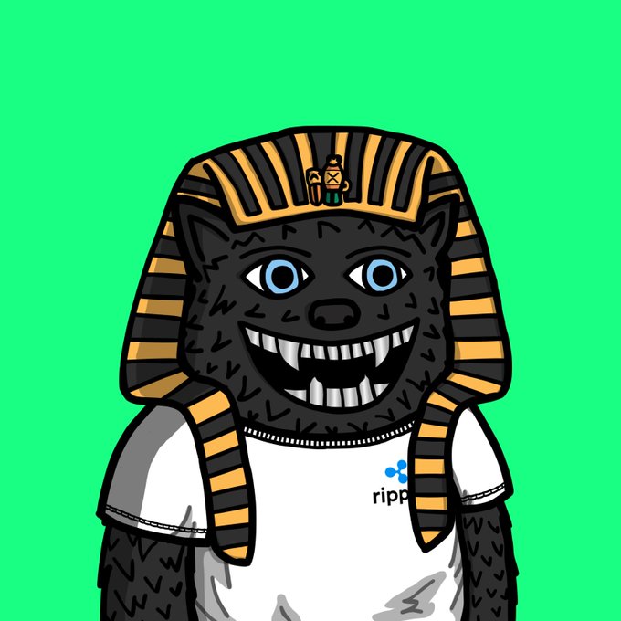 A cartoon illustration of a black cat-like character wearing a pharaoh's headdress and a white t-shirt with the partial 'ripp' logo, set against a bright green background.