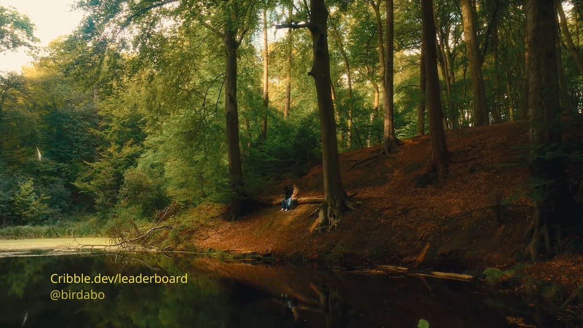 A serene forest scene shows a person sitting at the base of large trees near a reflecting pond, with yellow text reading 'Cribble.dev/leaderboard' and '@birdabo' in the bottom left corner.