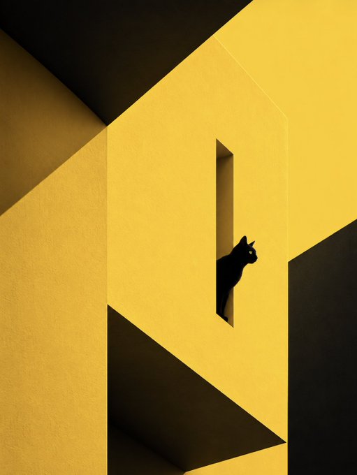 A black cat peers out from a narrow rectangular window in a striking geometric yellow and black building, its silhouette against the bright yellow wall suggesting curiosity about new horizons—fitting the post's theme of exploring a "new landscape."