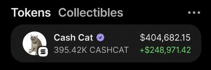 The image shows a portfolio display for "Cash Cat" ($CASHCAT), showing a holding of 395.42K tokens valued at $404,682.15 with a gain of +$248,971.42 in green, suggesting the poster is using their visible crypto profits to promote legitimacy for a $300 giveaway contest.