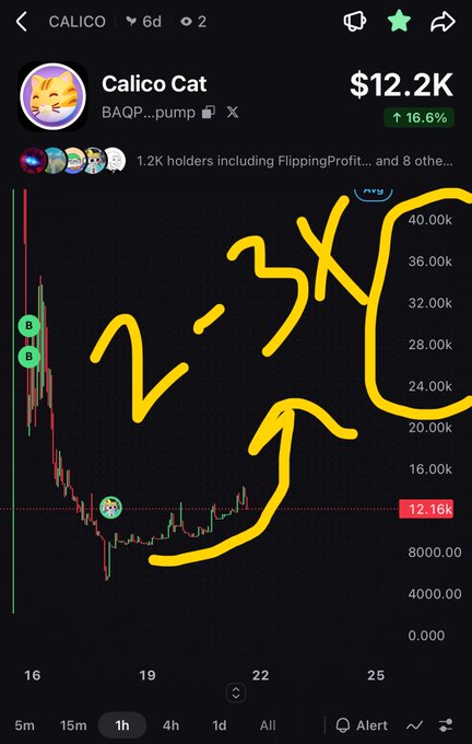 A trading chart for Calico Cat (CALICO) showing a price of $12.2K, with yellow hand-drawn markings indicating a '2-3X' potential move upward.