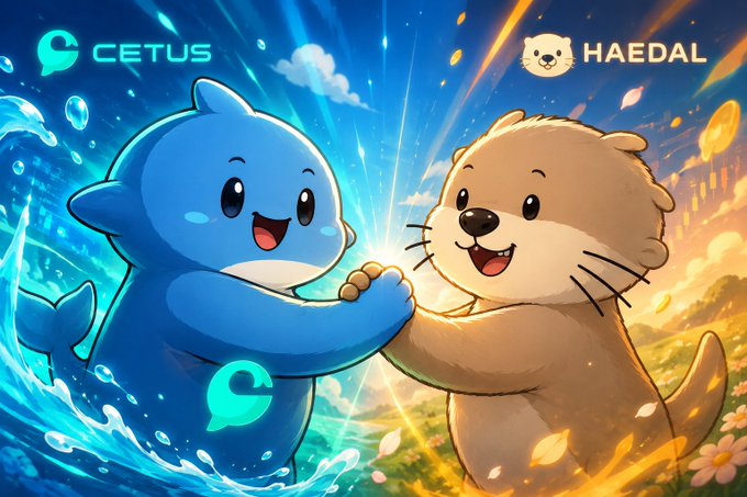 A cartoon blue dolphin mascot labeled "CETUS" and a brown otter mascot labeled "HAEDAL" joyfully hold hands, symbolizing the integration between Cetus Protocol and Haedal Protocol as Haedal's PropAMM becomes a new liquidity source for the Cetus Aggregator on Sui.