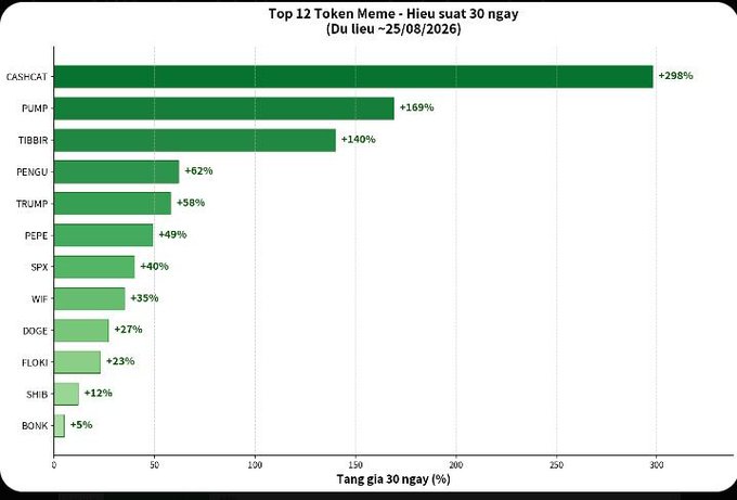A bar chart titled 'Top 12 Token Meme - Hieu suat 30 ngay (Du lieu -25/08/2026)' showing 30-day performance in Vietnamese, with CASHCAT leading at +298%, followed by PUMP (+169%) and TIBBIR (+140%).