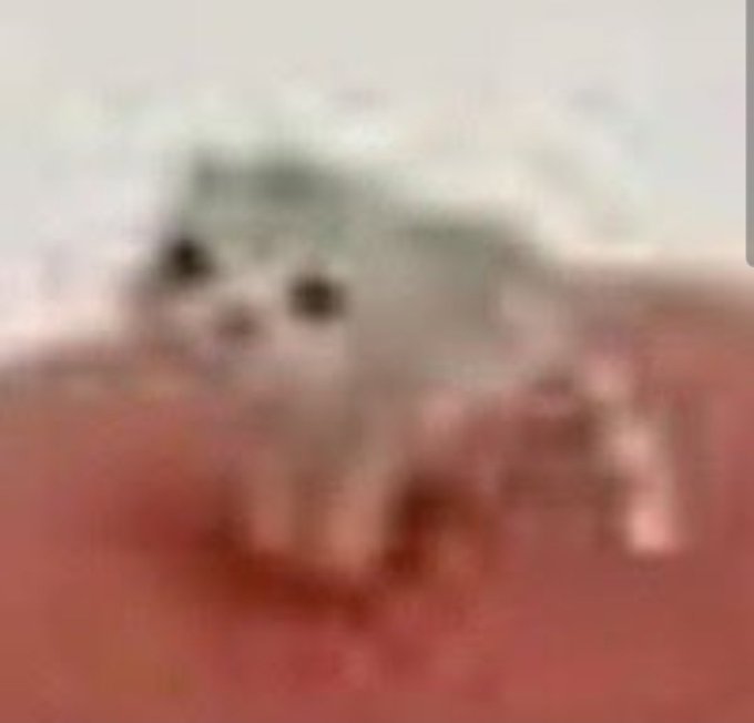 A very blurry, low-resolution photo of a small white dog lying on a red surface.