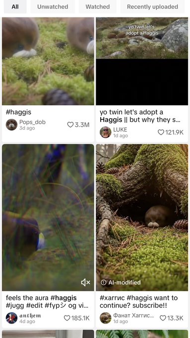 A TikTok-style feed displays four viral "haggis" videos with high engagement, including "#haggis" by Pops_dob (3.3M likes) and "yo twin let's adopt a Haggis" by LUKE (121.9K likes), alongside related posts featuring hashtags like "#jugg" and "#fyp," all tied to the viral memecoin trend around the haggis community referenced in the accompanying post.