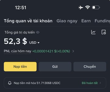 The image shows a screen of a smartphone with various app icons displayed, including one for a foreign currency trading app that offers currency conversion services at 52 cents per dollar or 0.53% of the exchange rate. The user's time on the clock indicates 12:51.