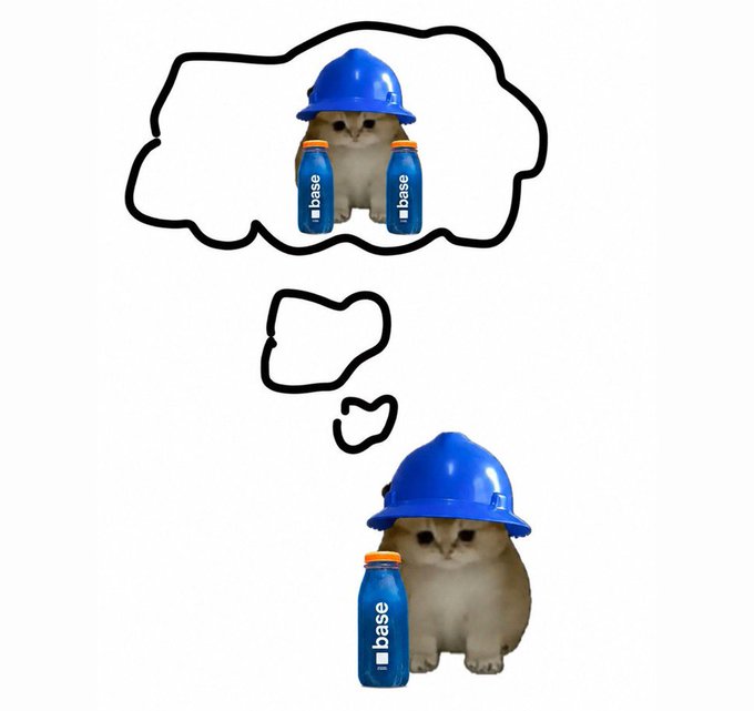 A meme featuring a small fluffy kitten wearing a blue hard hat next to a blue 'base' branded bottle, with a thought bubble showing a muscular version of the same kitten lifting two 'base' weights, representing Base chain.