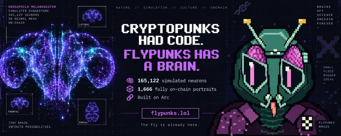 A promotional graphic for "FLYPUNKS" featuring text "CRYPTOPUNKS HAD CODE. FLYPUNKS HAS A BRAIN" alongside "165,122 simulated neurons," "1,666 fully on-chain portraits," "Built on Arc," and the website "flypunks.lol," with pixel art of a fly-headed character.