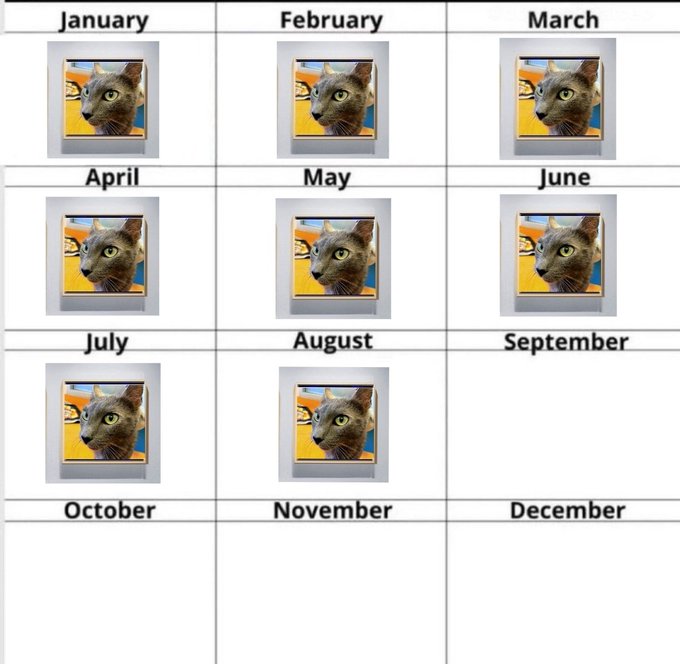 A calendar template displaying months January through December, with identical images of a gray cat's face (likely "BobaCat") filling the slots from January through August, while September through December remain empty—visually representing BobaCat at a 400k market cap.
