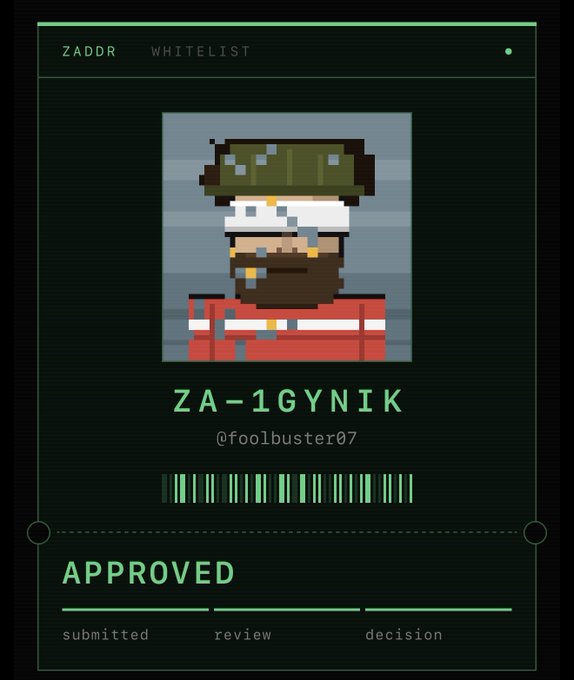 A digital whitelist approval card for 'ZA-1GYNIK' (@foolbuster07) features a pixel art character wearing a green military helmet and red jacket, marked as 'APPROVED'.