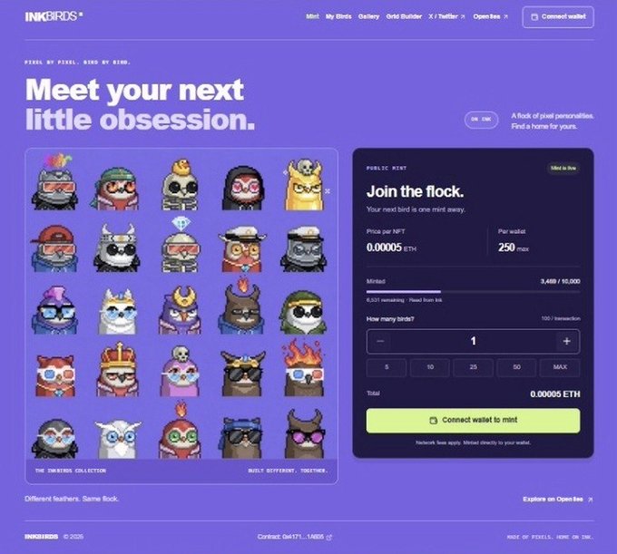 The image shows the official InkBirds website landing page featuring a "Meet your next little obsession" headline, a grid display of pixel-art bird NFTs from "The Immortals Collection," and a "Join the flock" public mint panel priced at 0.00005 ETH per NFT with a 250 max per wallet cap and 3,480/10,000 remaining. This directly corresponds to the post by announcing the launch of the dedicated inkbirds.ink platform, where users can mint InkBirds on the Ink network, browse the public collection, and connect their wallet to start minting.