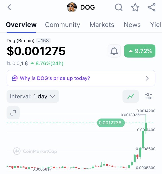 CoinMarketCap screenshot showing DOG (Dog Bitcoin) priced at $0.001275, ranked #158, with a 9.72% increase and 8.76% gain over 24h, displayed on a 1-day candlestick chart.