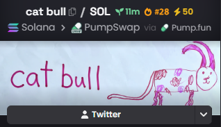 A screenshot shows a cryptocurrency token page for 'cat bull' with the ticker SOL, listed on Solana via PumpSwap from Pump.fun, featuring a child's drawing of a pink cat-like creature.