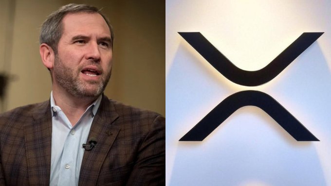 A side-by-side image of a man in a brown plaid blazer and light blue shirt on the left, and the XRP cryptocurrency logo on the right.