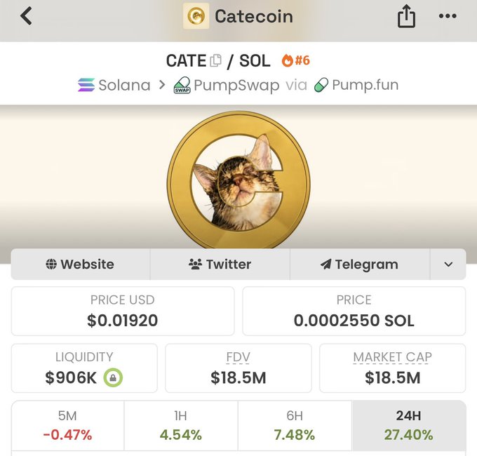 The image shows a cryptocurrency tracker page for Catecoin ($CATE/SOL), displaying a current price of $0.01920 (0.0002550 SOL) with a 24-hour gain of 27.40%, supporting the post's bullish sentiment by highlighting strong recent price performance alongside an $18.5M market cap.