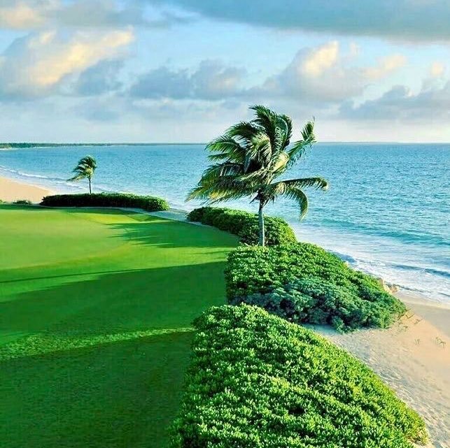 A tropical coastal scene featuring a green golf course and palm trees along a sandy beach with ocean waves and a partly cloudy sky.