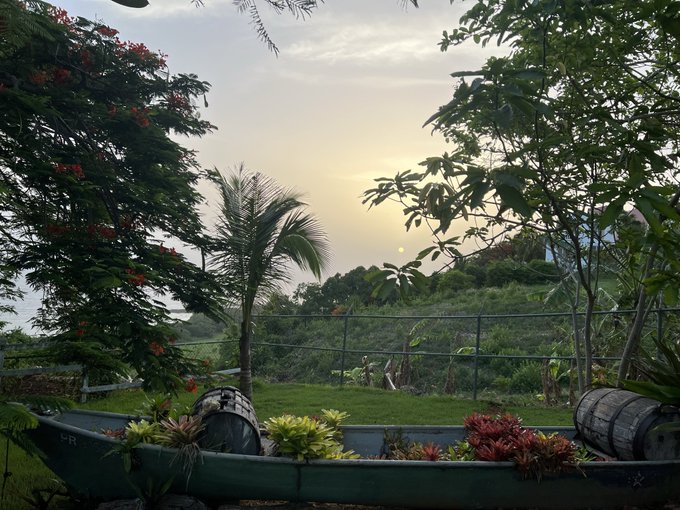 A sunset scene viewed from a tropical garden, looking out over a lawn, palm tree, and distant hills toward the setting sun.
