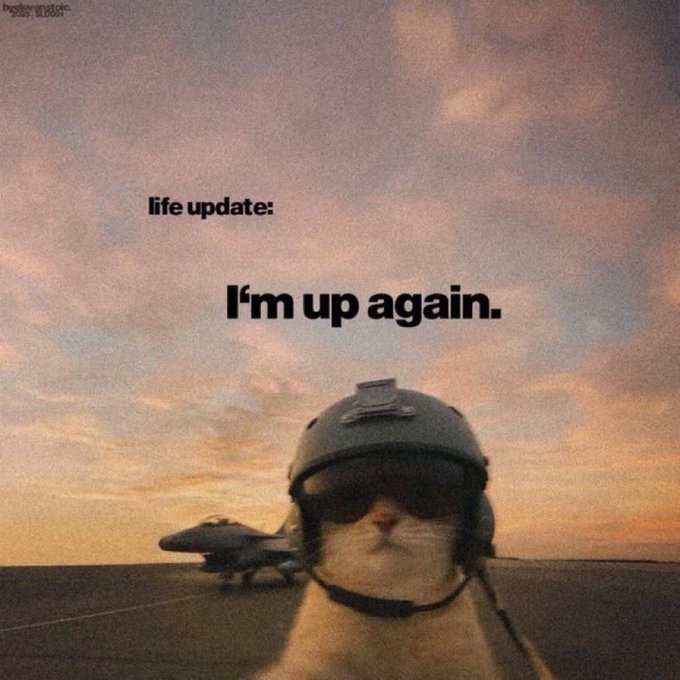 A meme shows a cat wearing a pilot helmet and sunglasses on an aircraft carrier at sunset. Text reads: “life update: I’m up again.”